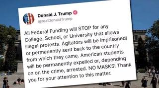 trumpo-order